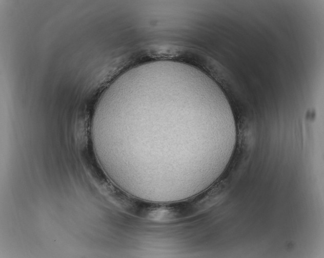 X0000113220460200910011349