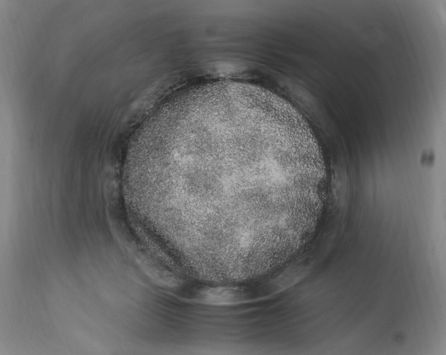 X0000113220461200910011349