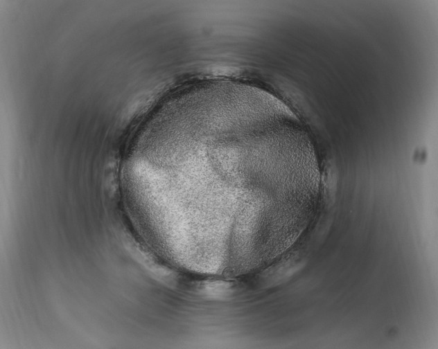 X0000113220462200910011349