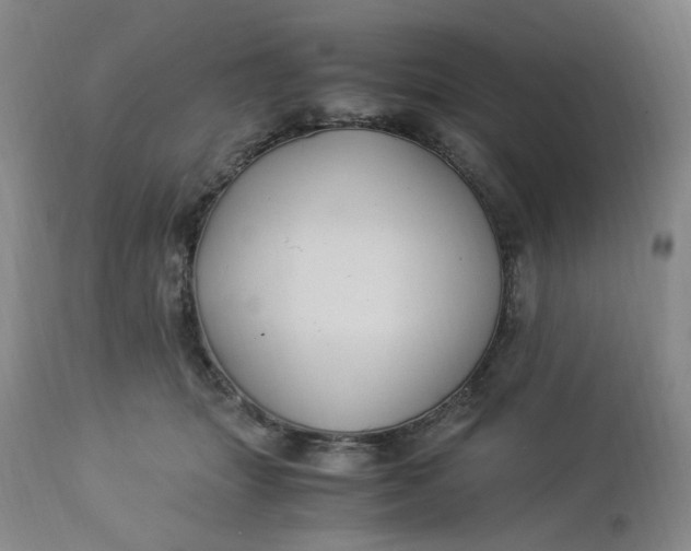 X0000113220463200910011349