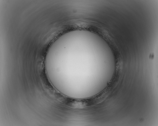 X0000113220464200910011349