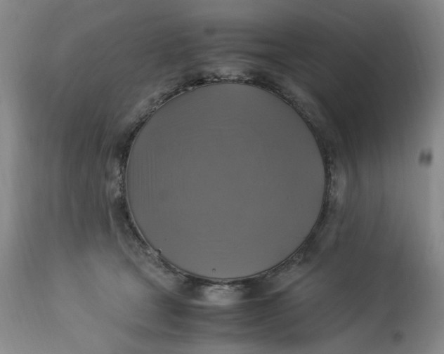 X0000113220465200910011349