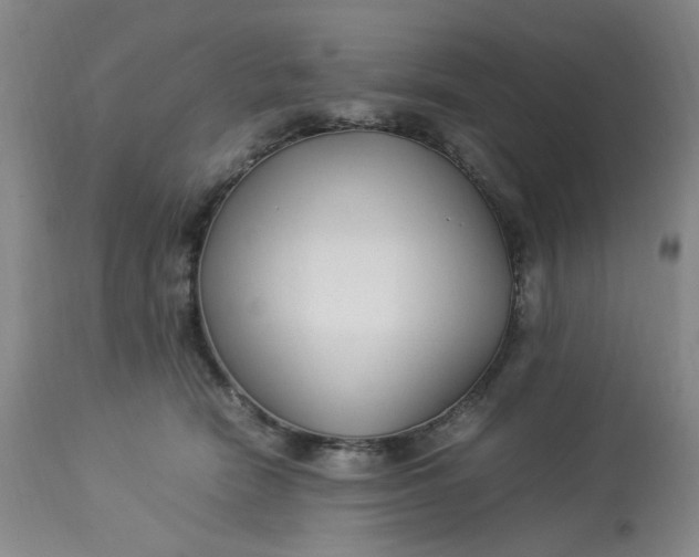 X0000113220466200910011349