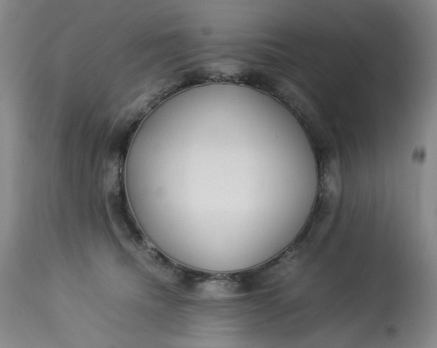 X0000113220468200910011349