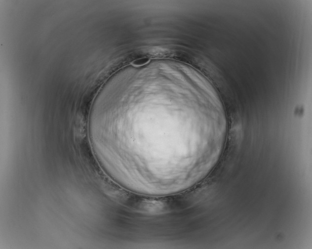 X0000113220469200910011349