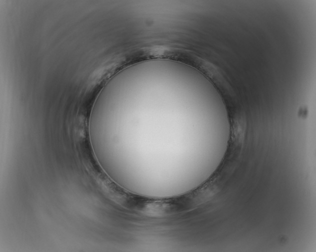 X0000113220470200910011349