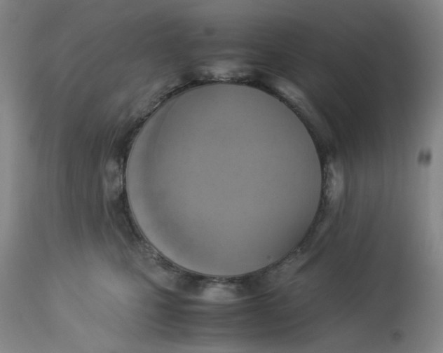 X0000113220471200910011349