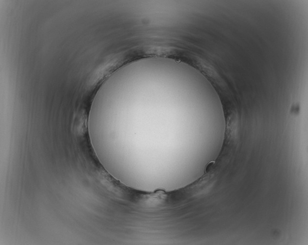 X0000113220474200910011349