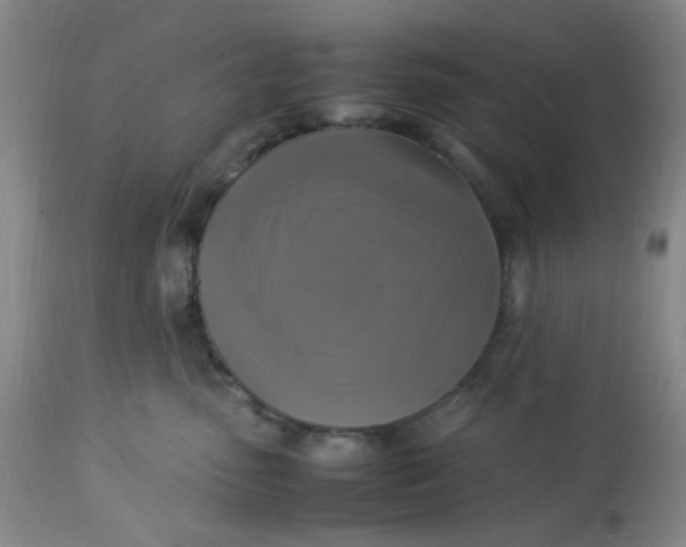 X0000113220475200910011349