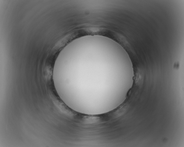 X0000113220476200910011349