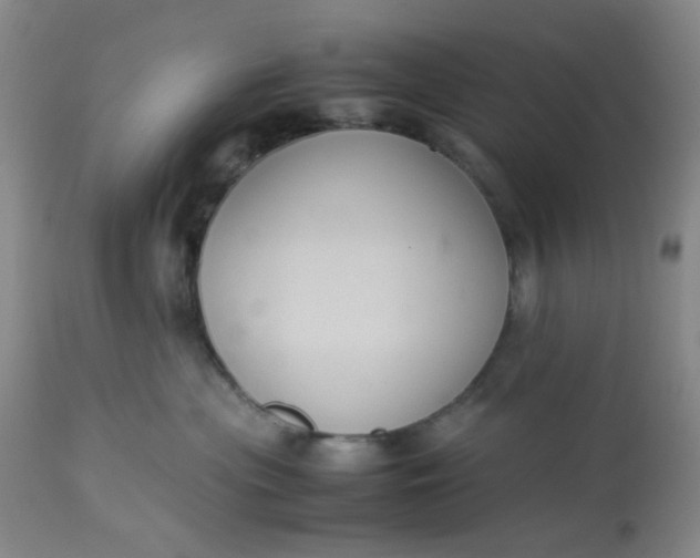 X0000113220477200910011349