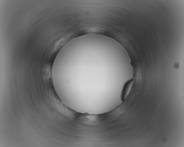 X0000113220478200910011349