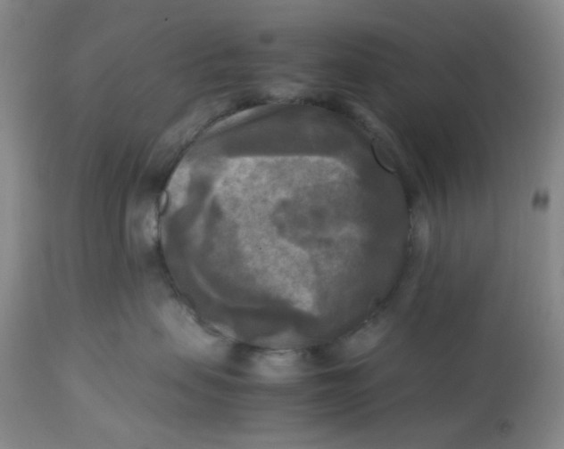 X0000113220479200910011350