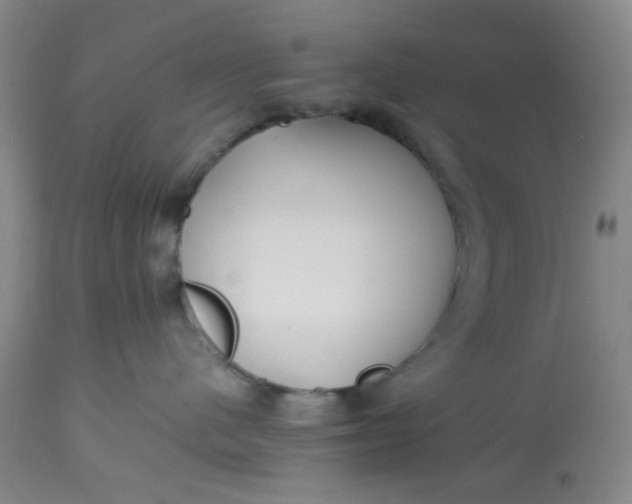 X0000113220480200910011350