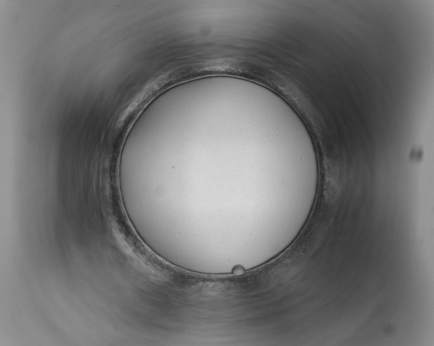 X0000113220482200910011349