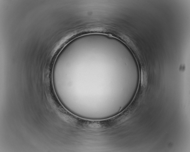 X0000113220483200910011349