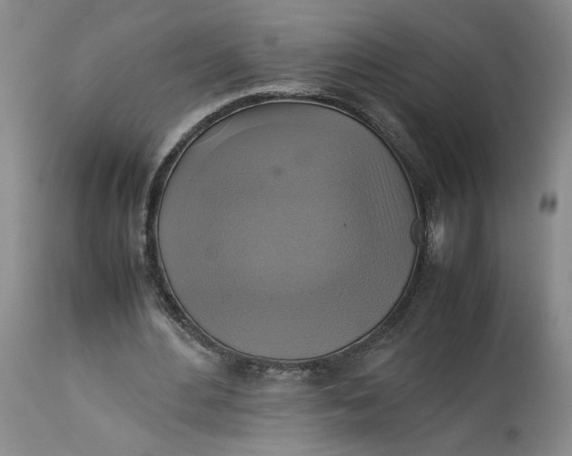 X0000113220484200910011349