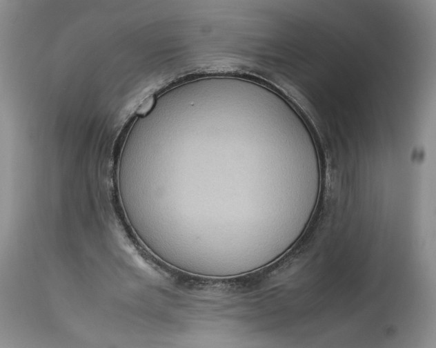 X0000113220485200910011349