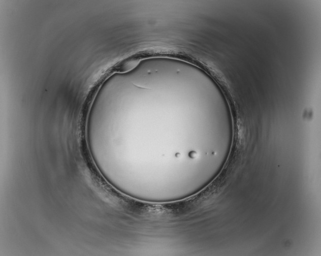 X0000113220487200910011349