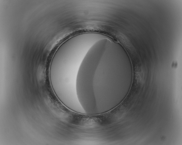 X0000113220488200910011349