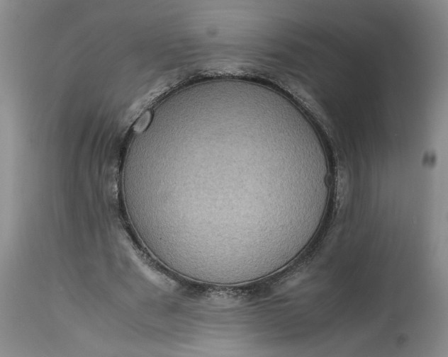 X0000113220489200910011349