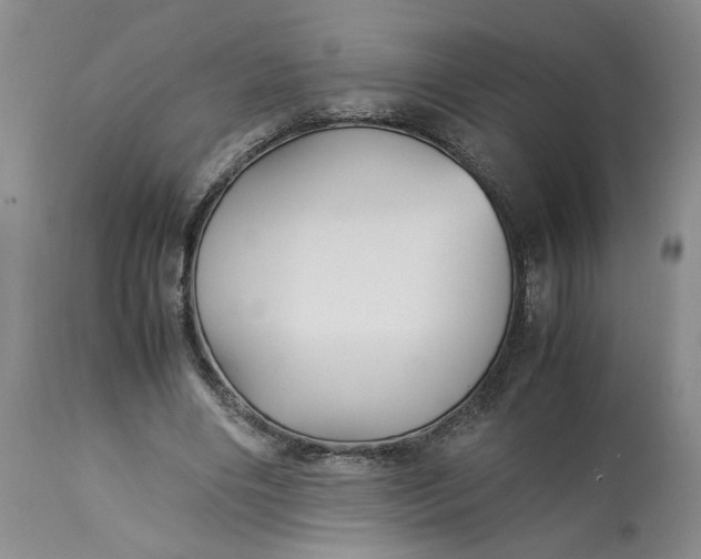 X0000113220490200910011349