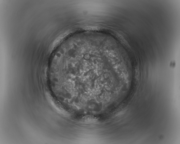 X0000113220491200910011349