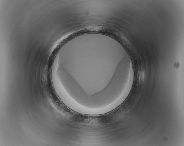 X0000113220492200910011349