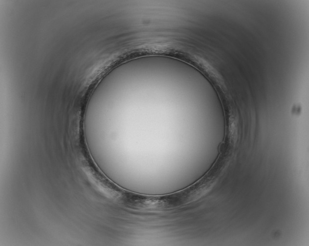 X0000113220493200910011349