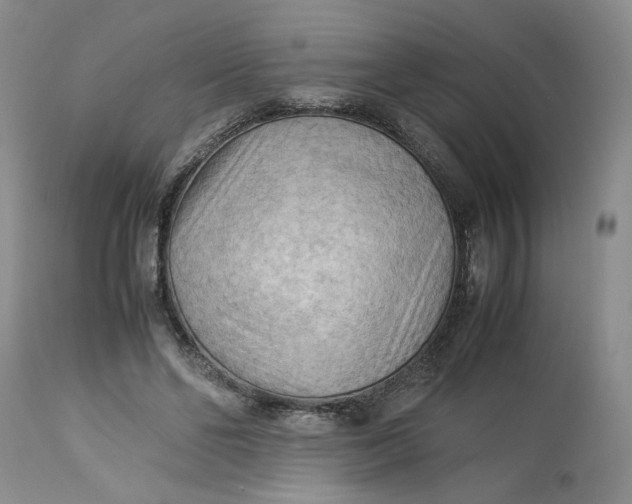 X0000113220494200910011349