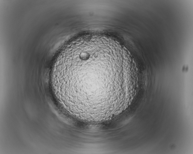 X0000113220495200910011348