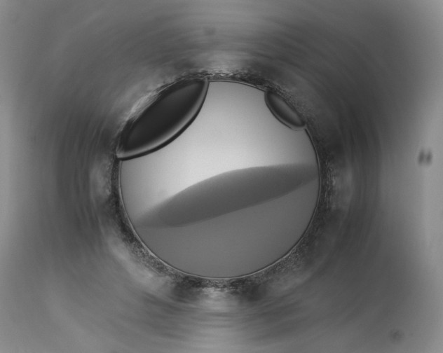 X0000113220496200910011348