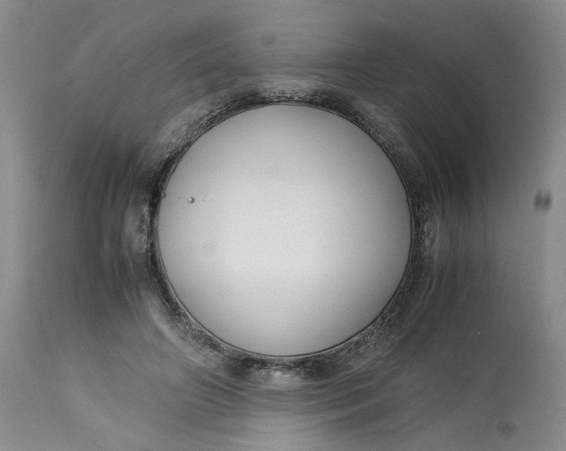 X0000113220498200910011348