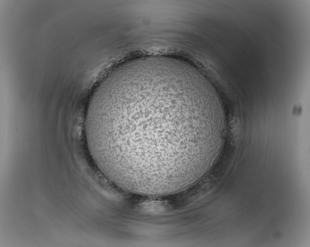 X0000113220499200910011348