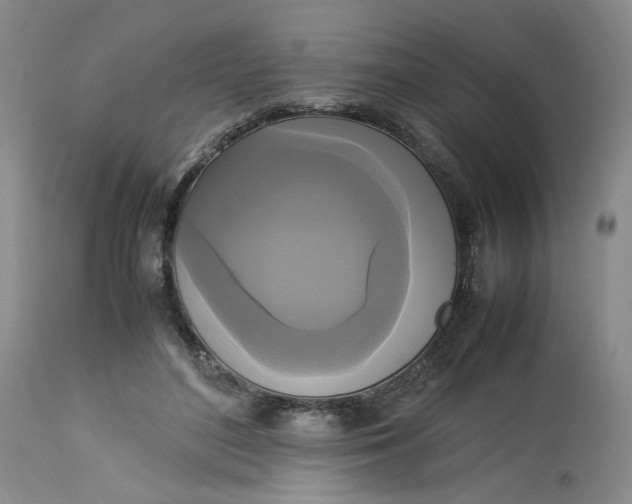 X0000113220500200910011348