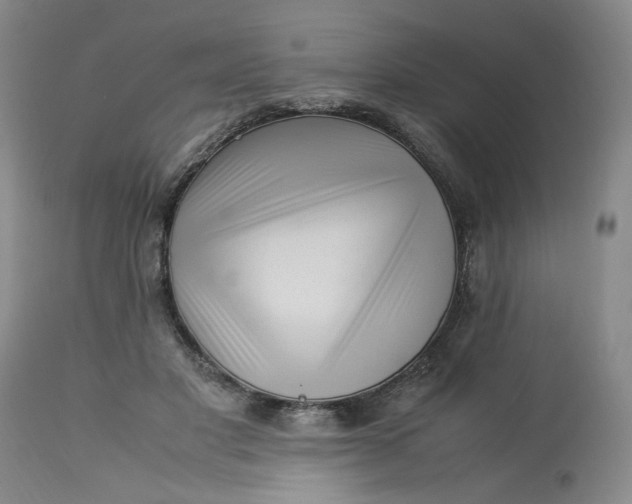 X0000113220501200910011348