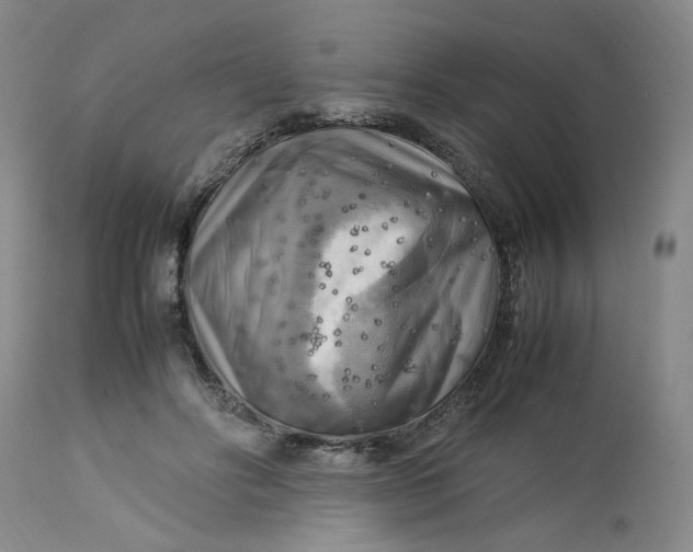 X0000113220502200910011348