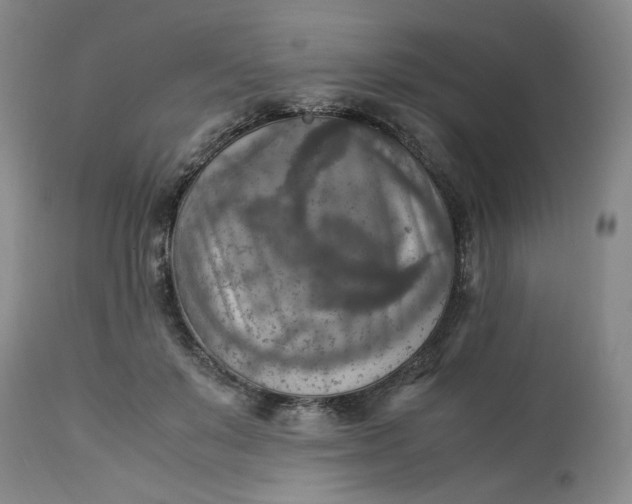 X0000113220503200910011348