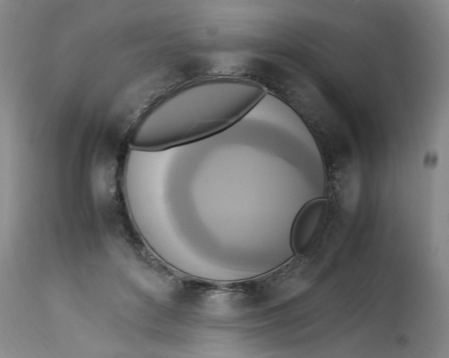 X0000113220504200910011348