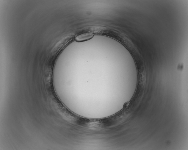 X0000113220505200910011348