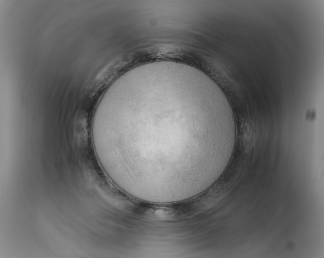 X0000113220506200910011348