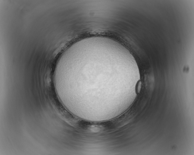 X0000113220508200910011348