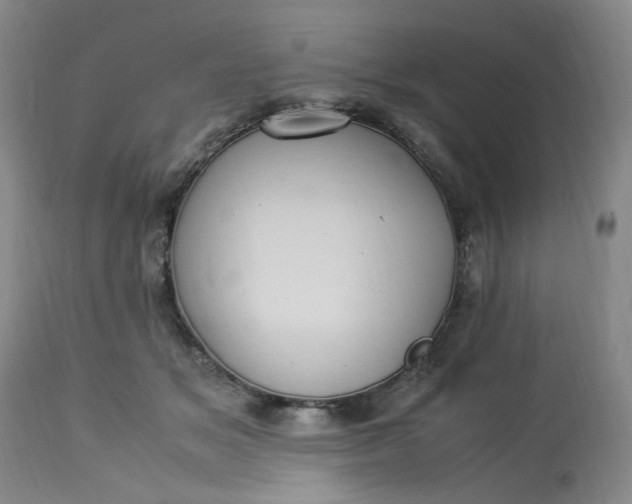 X0000113220509200910011348