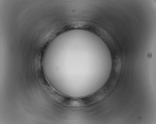 X0000113220510200910011348