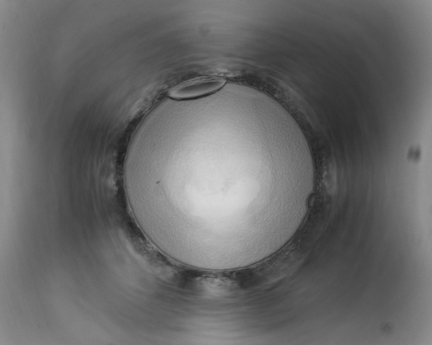 X0000113220512200910011348