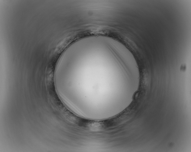 X0000113220513200910011348