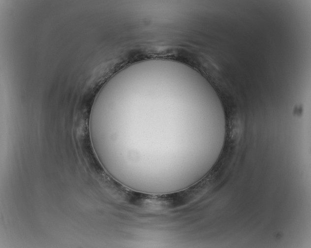 X0000113220515200910011348