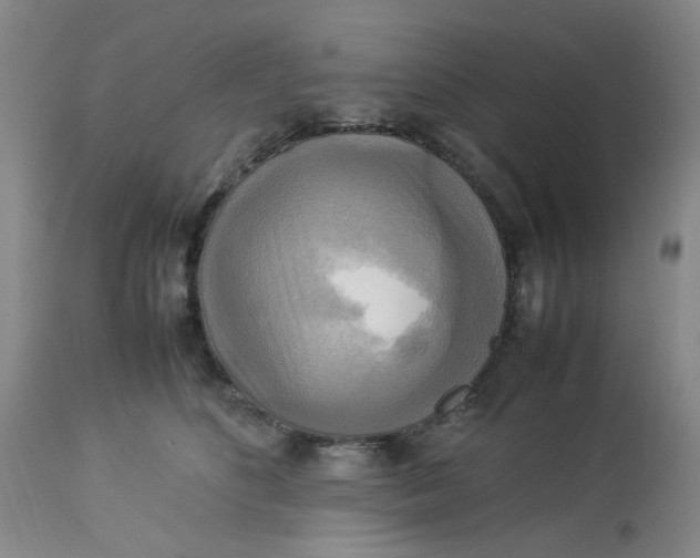 X0000113220516200910011348