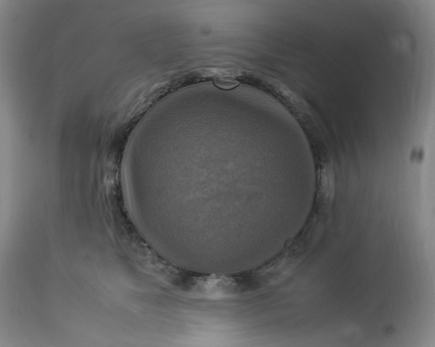 X0000113220517200910011348