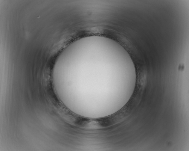 X0000113220518200910011348